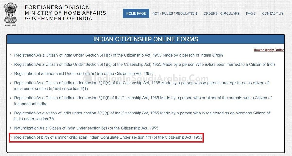 Indian Baby Passport 1